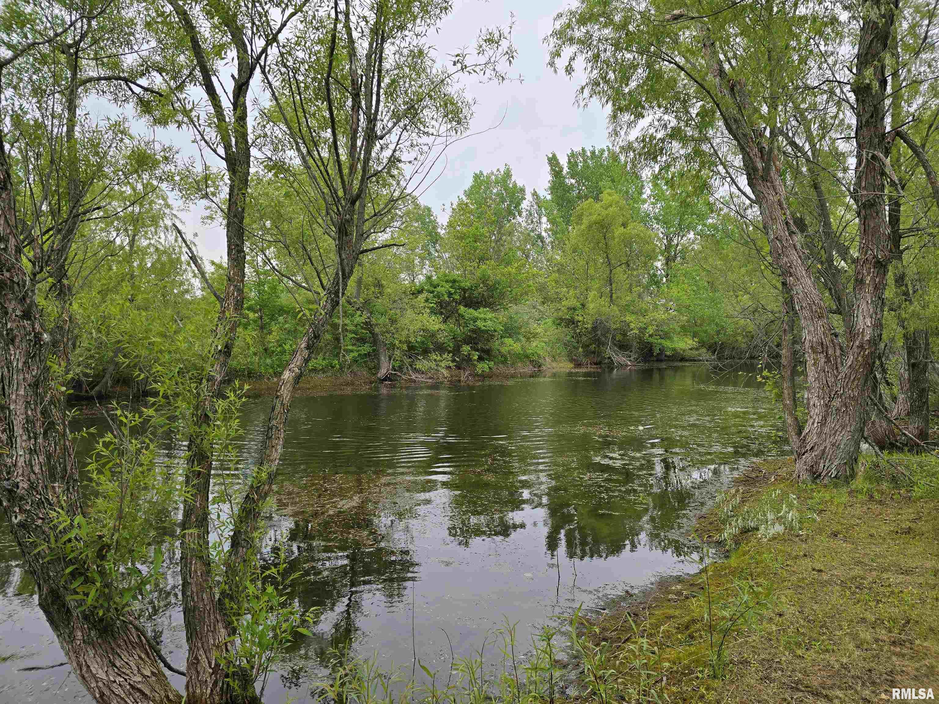 Brad Road, Canton, Illinois image 12