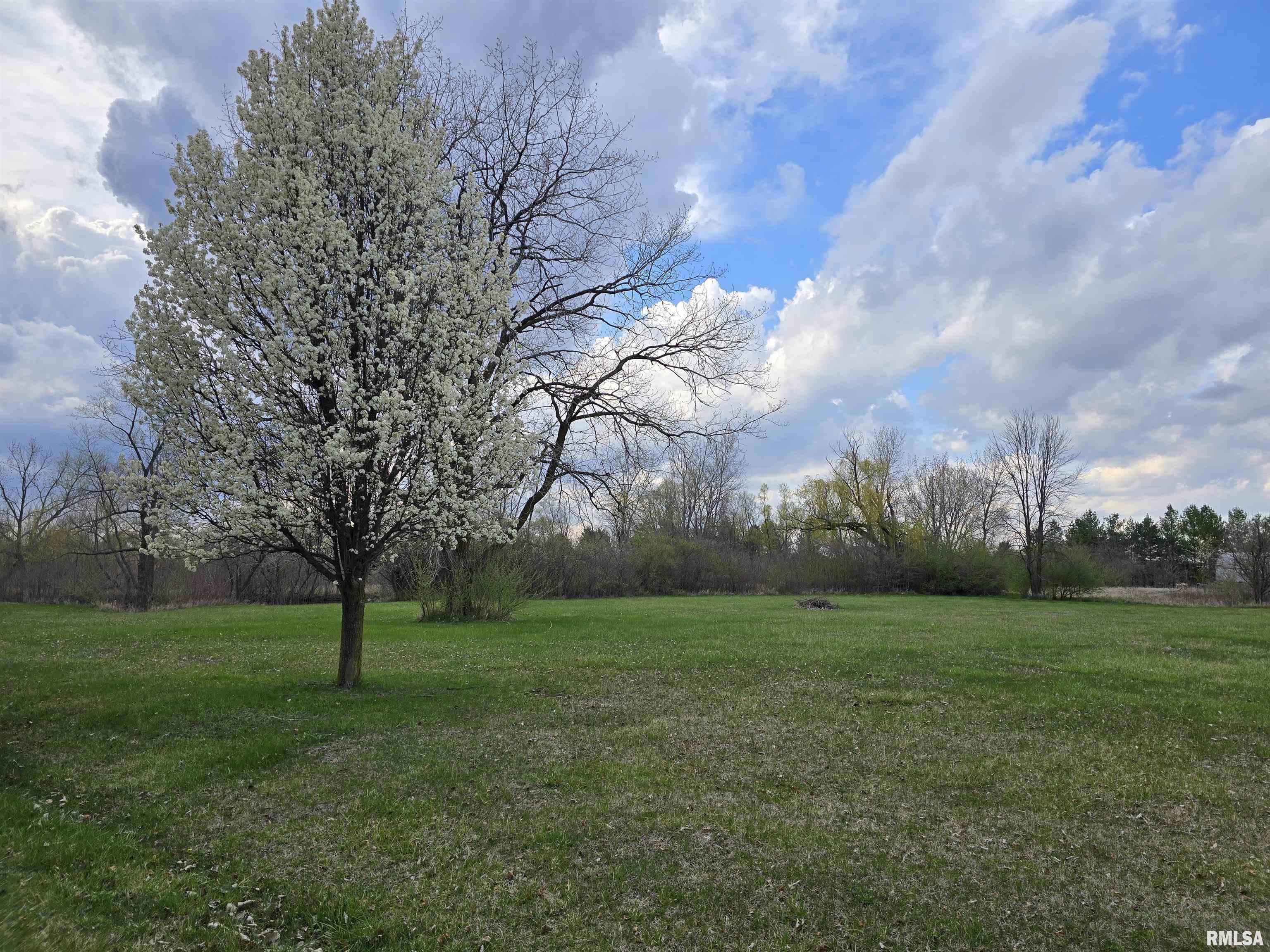 Brad Road, Canton, Illinois image 6
