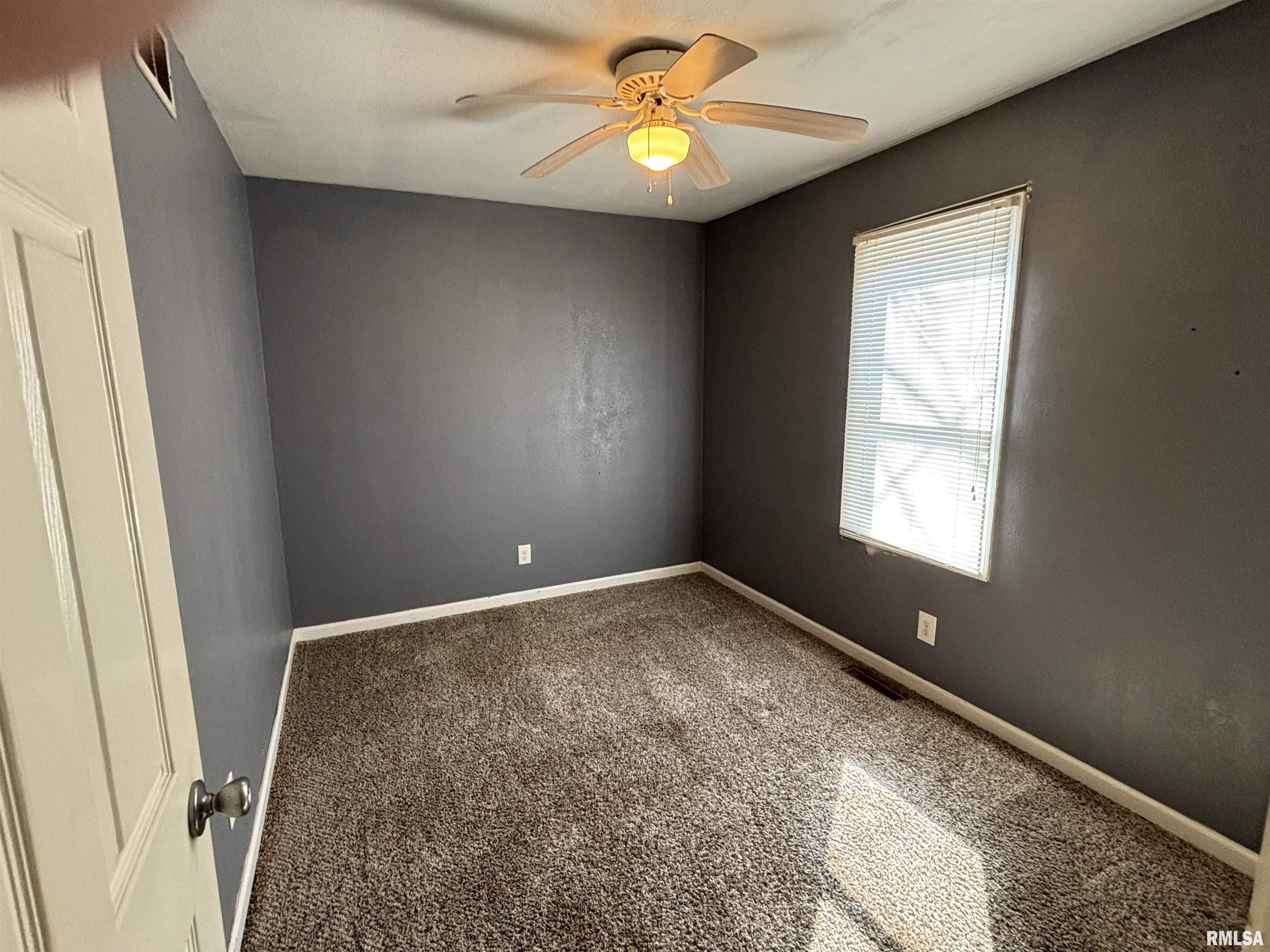 829 N Cheney Street, Taylorville, Illinois image 18