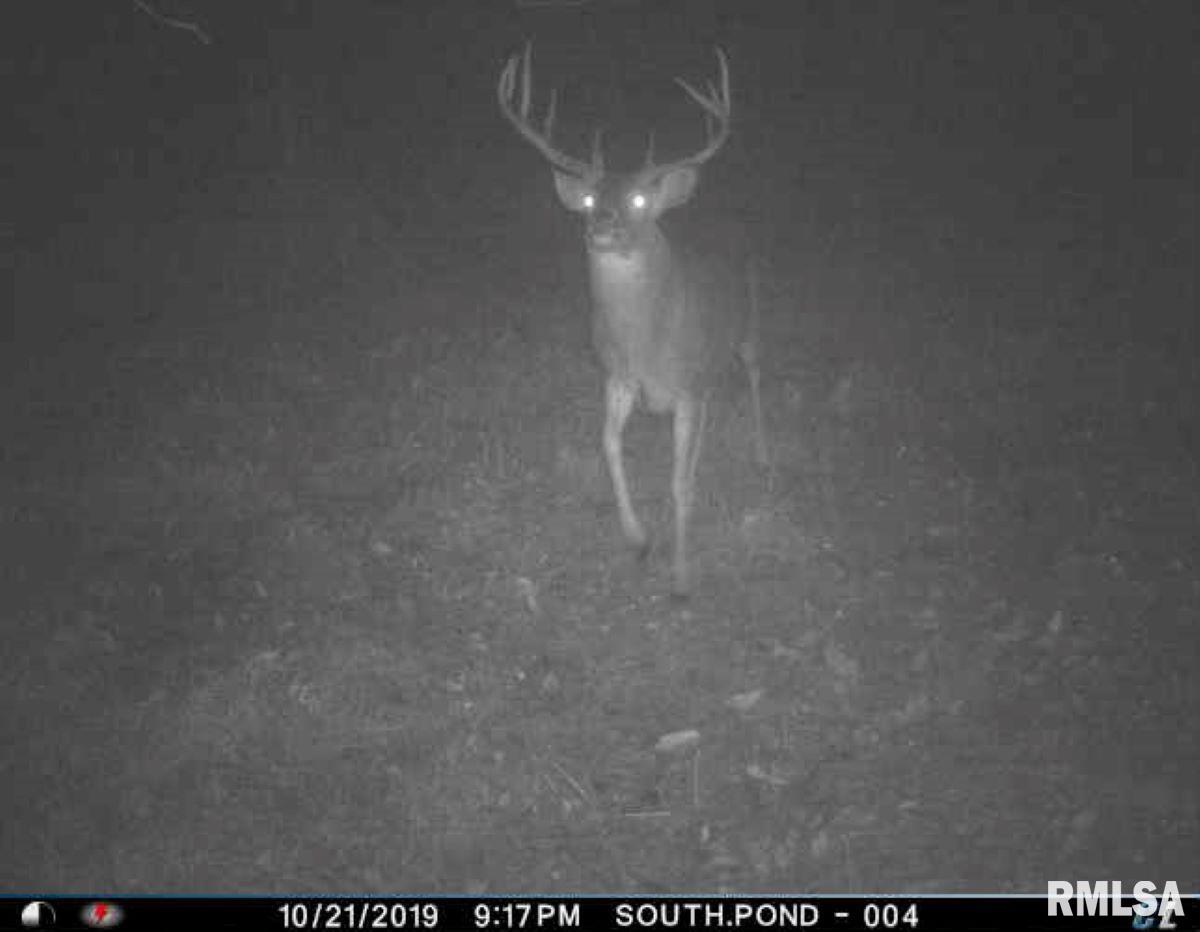 285 Twinz Lane, Vienna, Illinois image 33