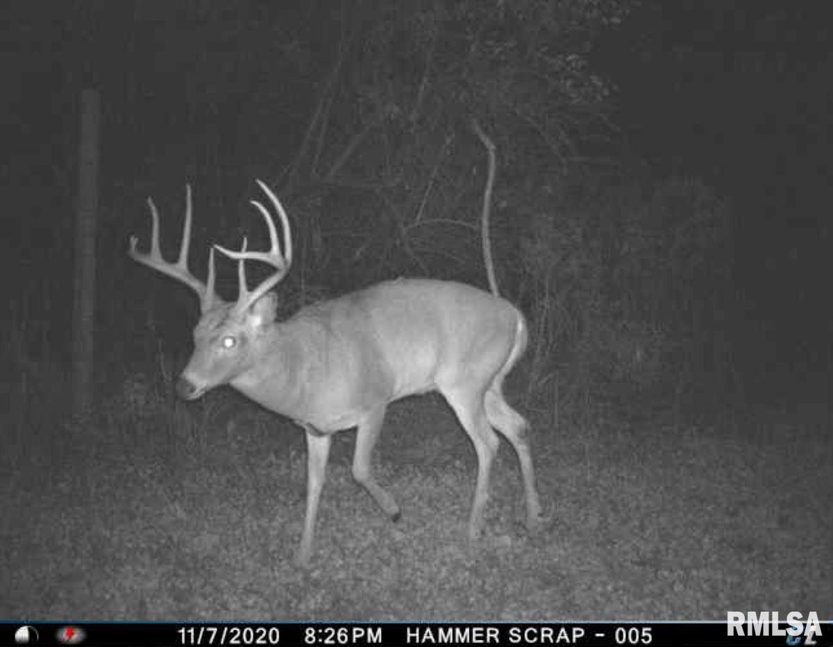 285 Twinz Lane, Vienna, Illinois image 34