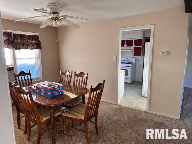 354 E Hail Street, Bushnell, Illinois image 15