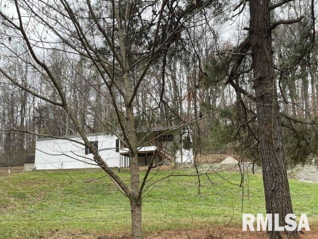 24555 Rock Springs Hollow Road, Thebes, Illinois image 2