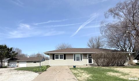 Photo of 114 E FRANKLIN Street, Henderson, IL 61439 (MLS # CA1042916)