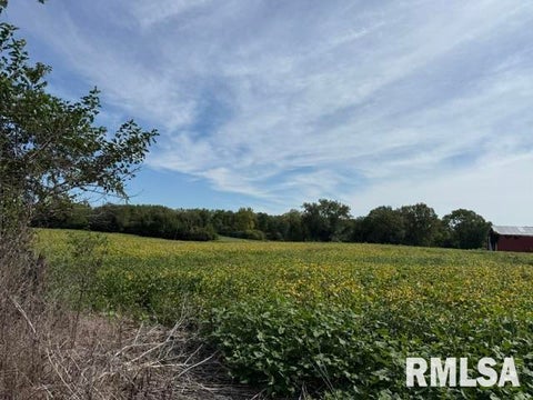 Vacant Land For Sale - 2126 N Quarry Road<br/> Trivoli, IL 61520