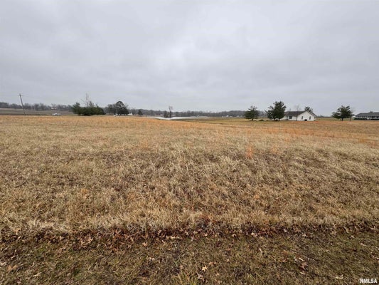 LOT 13 DOVE LANE, ELDORADO, IL 62930 - Image af0896ba9ca8d2aa6f9f1f6e9031b6d4/3444593143