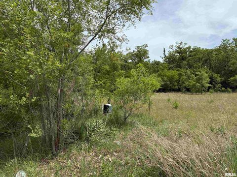 Vacant Land For Sale - S Robinia Grove<br/> Havana, IL 62644