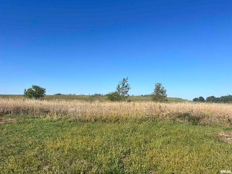 Vacant Land For Sale - LOT 87 Kyle Court<br/> Metamora, IL 61548