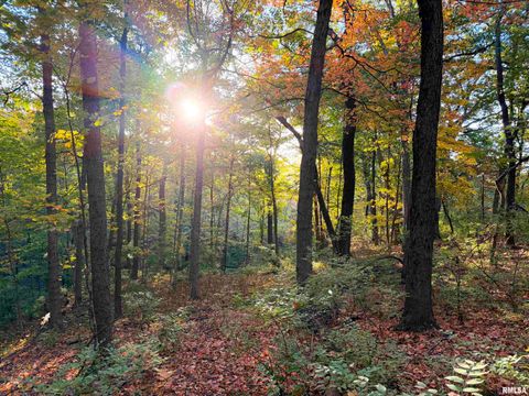 Vacant Land For Sale - 000 W Singing Woods Road<br/> Dunlap, IL 61771