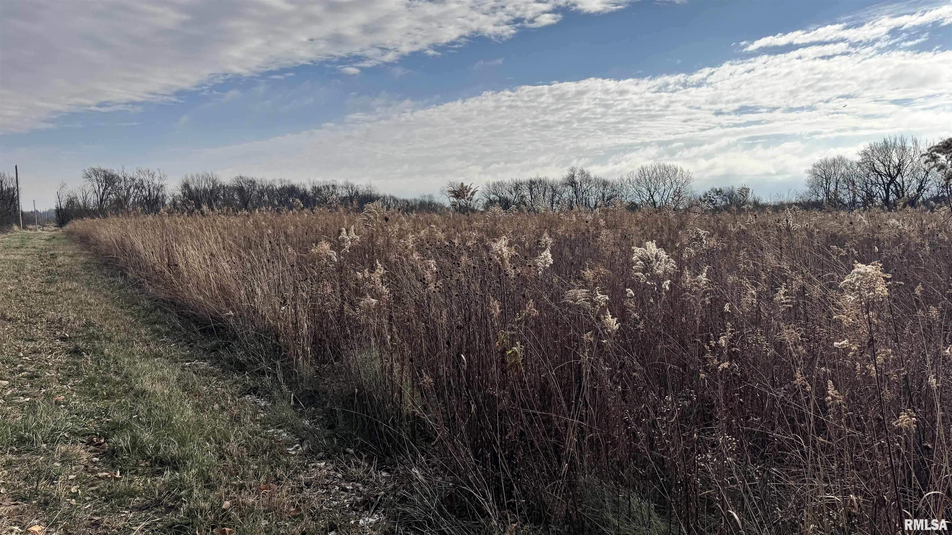 Timber Road, Kewanee, Illinois image 10