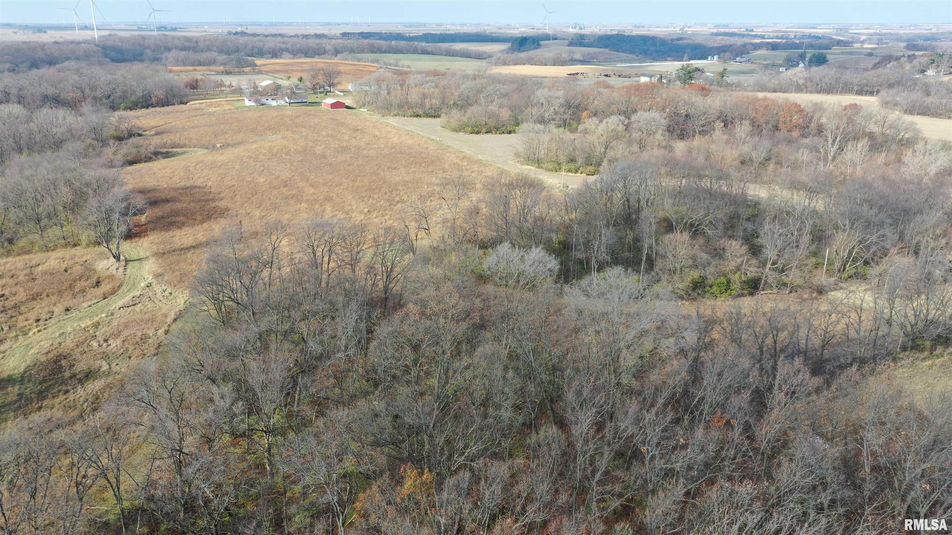 Timber Road, Kewanee, Illinois image 3