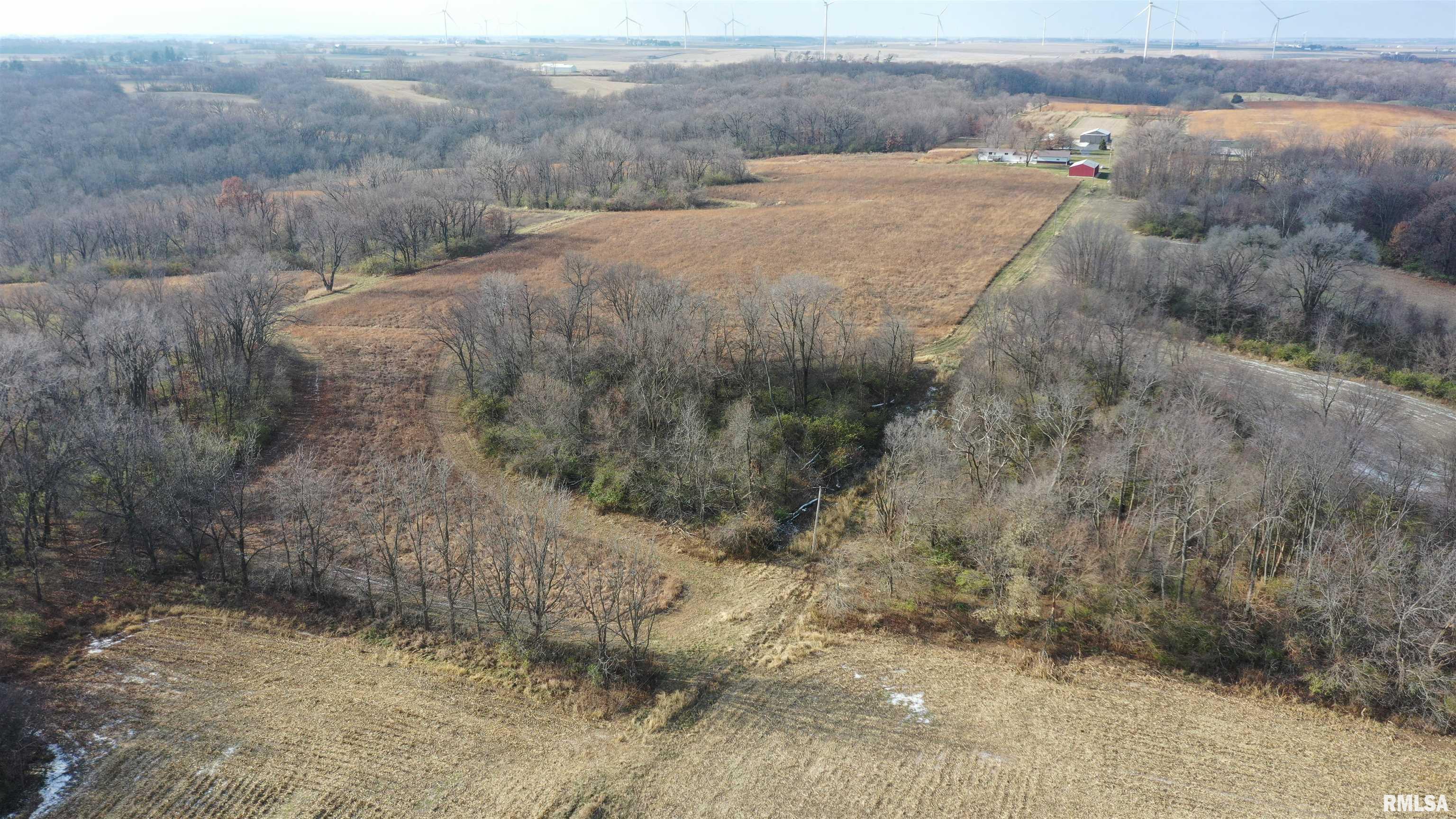 Timber Road, Kewanee, Illinois image 2