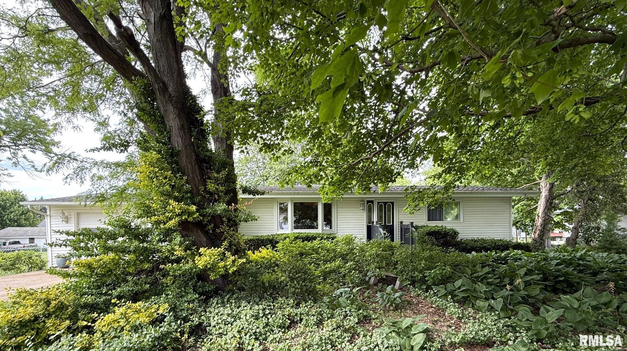 131 E Willard Street, Wataga, Illinois image 1
