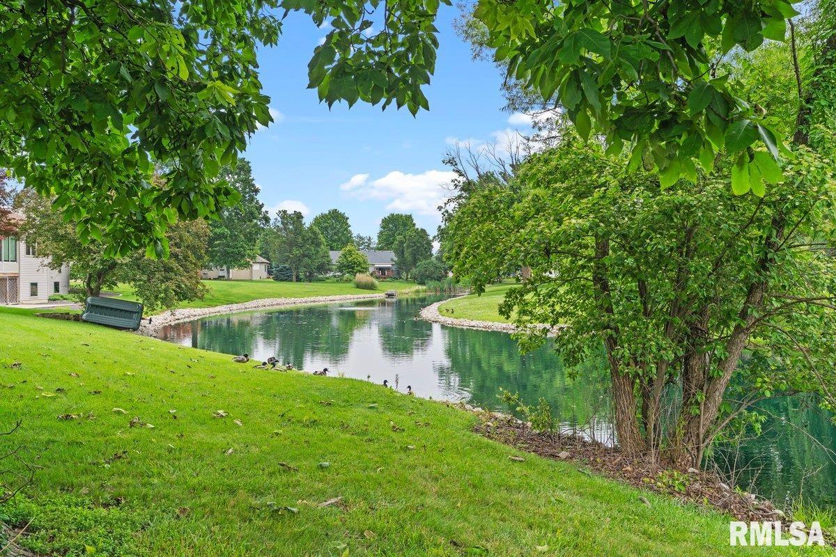 136 Lilac Lane, Chatham, Illinois image 32