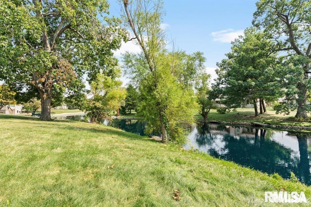 136 Lilac Lane, Chatham, Illinois image 37