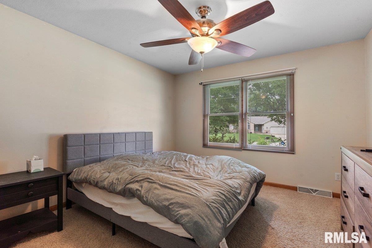 136 Lilac Lane, Chatham, Illinois image 22