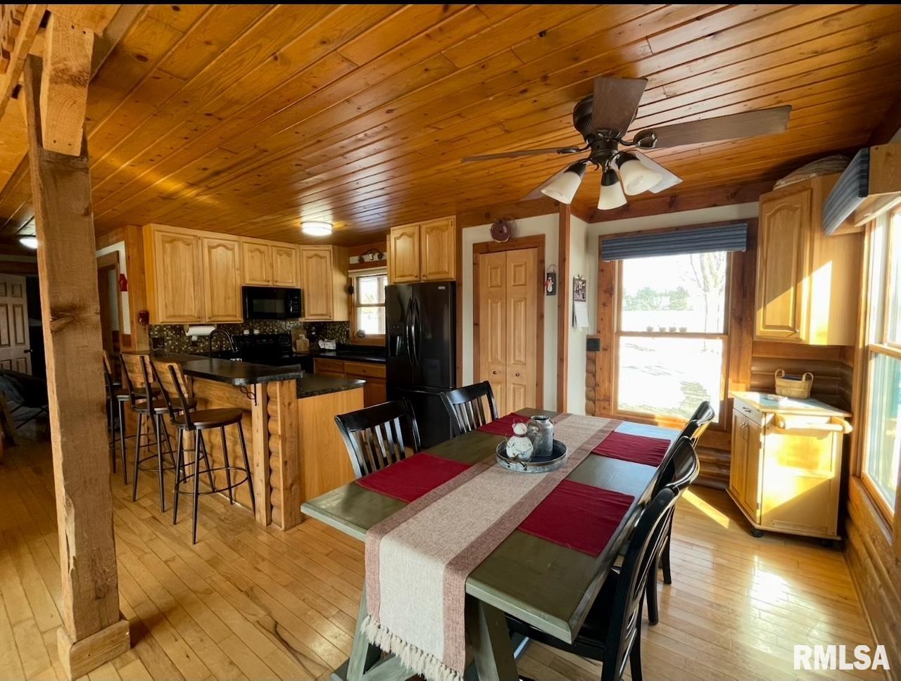 15364 New Salem Bluff Road, Petersburg, Illinois image 9
