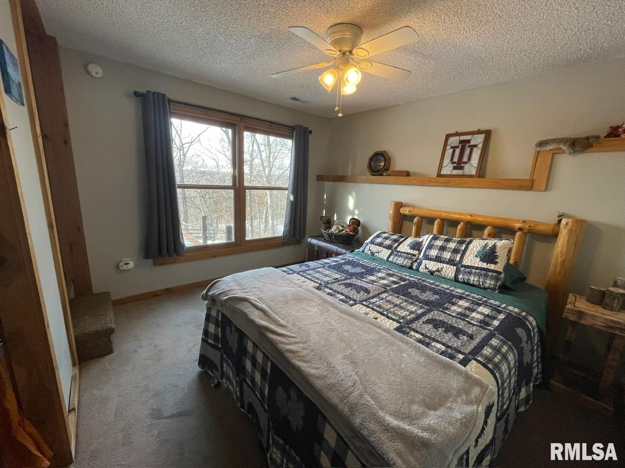 15364 New Salem Bluff Road, Petersburg, Illinois image 26