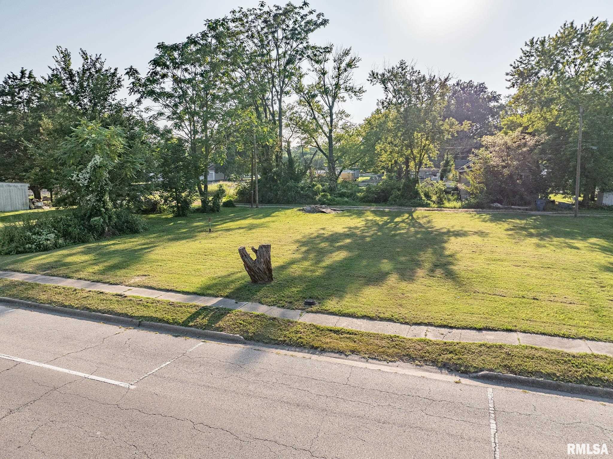 1308 S Elm Street, Centralia, Illinois image 7