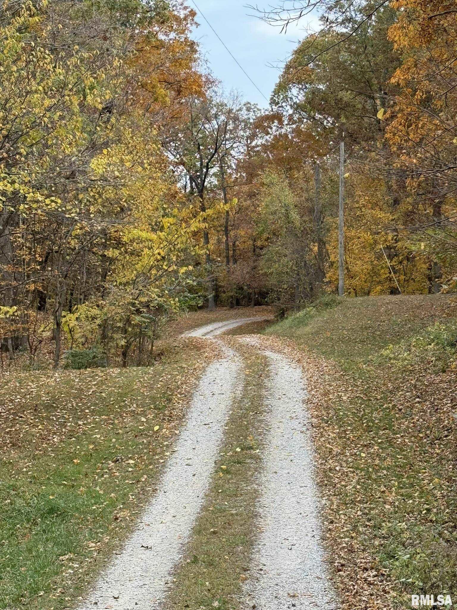 3448 Levee Road, Centralia, Illinois image 6