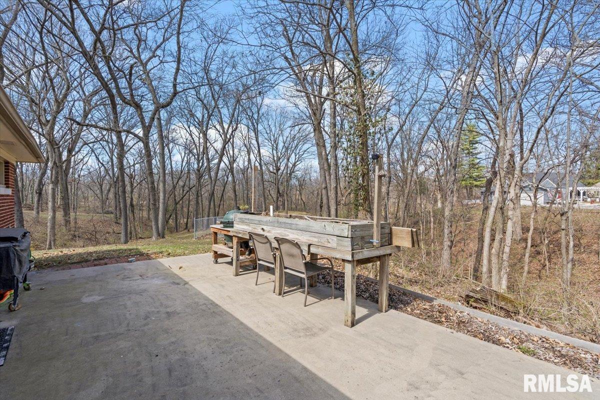 61 W Hazel Dell Lane, Springfield, Illinois image 29