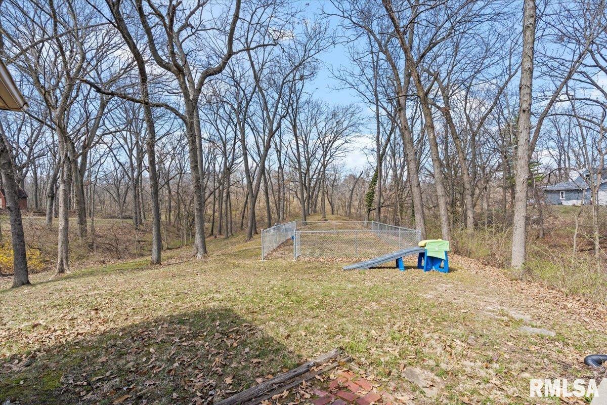 61 W Hazel Dell Lane, Springfield, Illinois image 30
