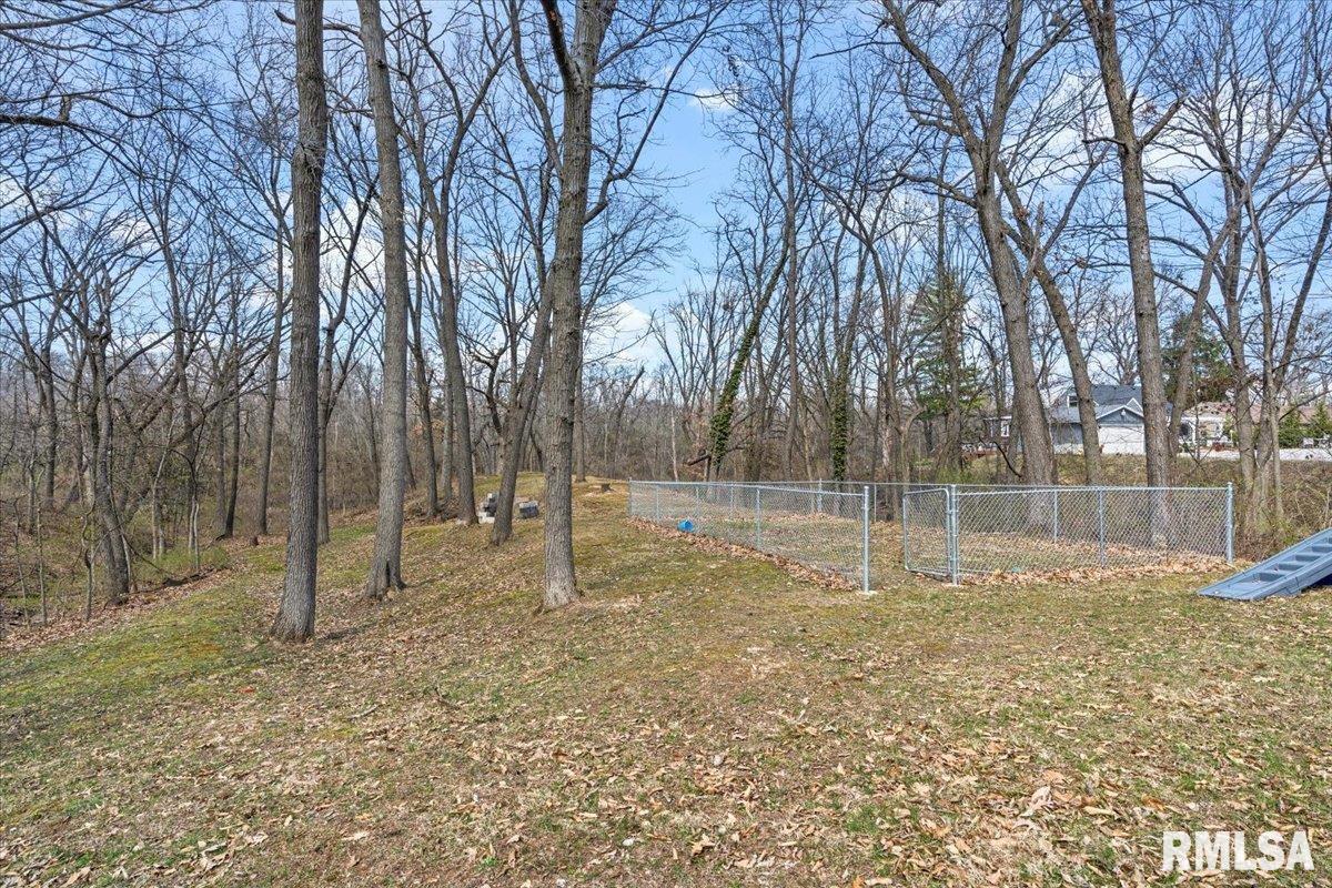 61 W Hazel Dell Lane, Springfield, Illinois image 31