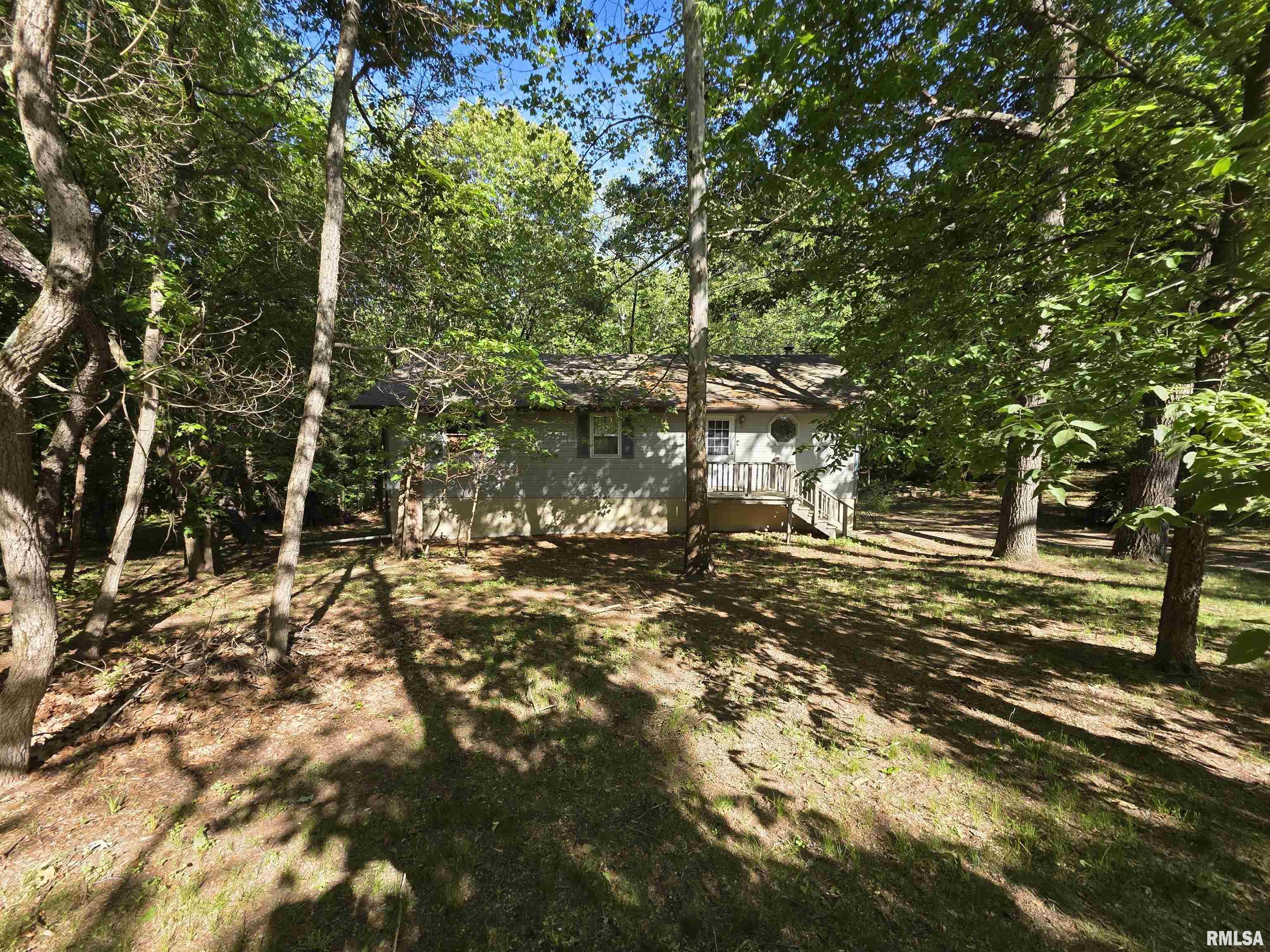 16335 N County Road 1800 E Road, Havana, Illinois image 2