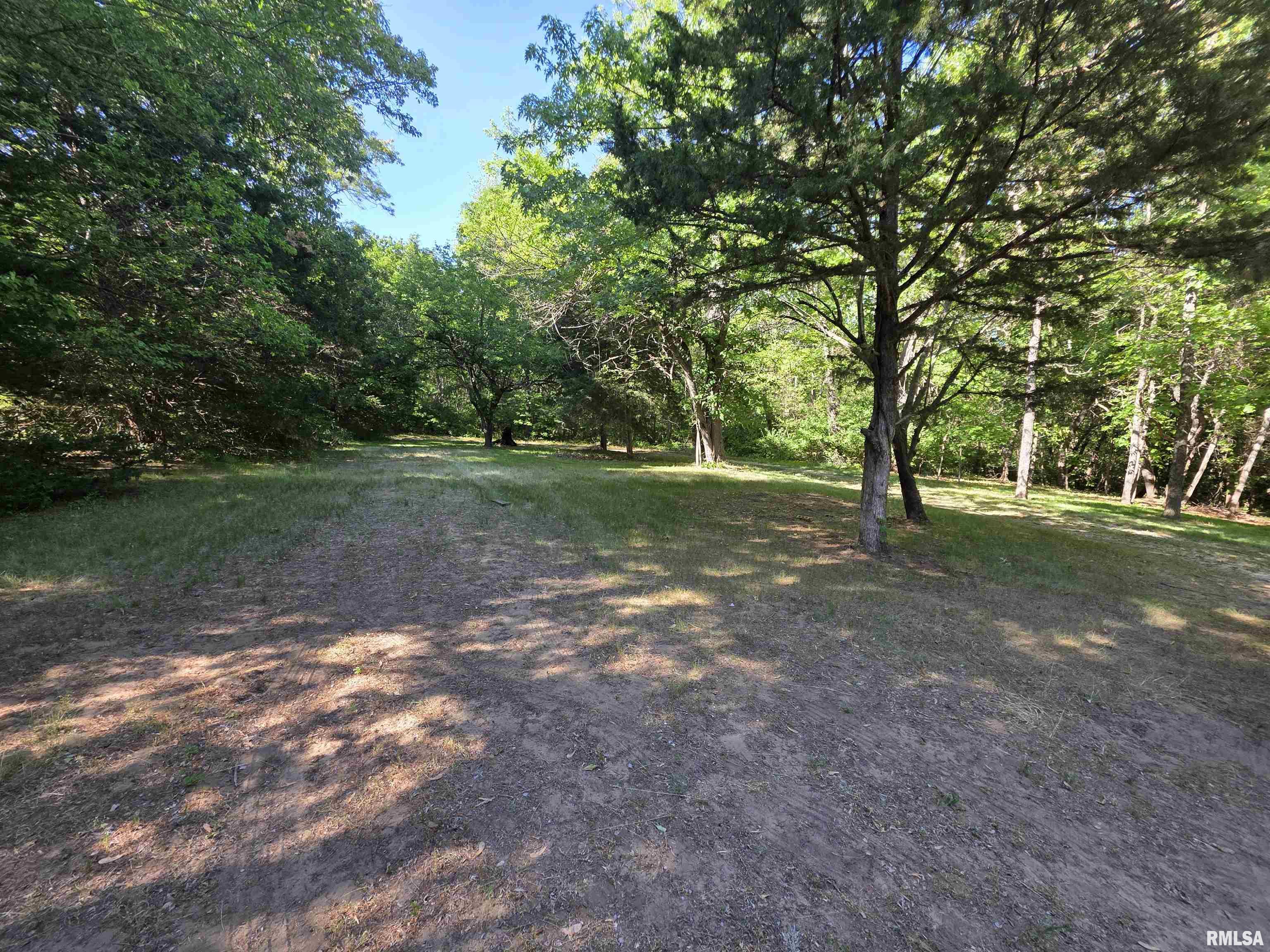 16335 N County Road 1800 E Road, Havana, Illinois image 9