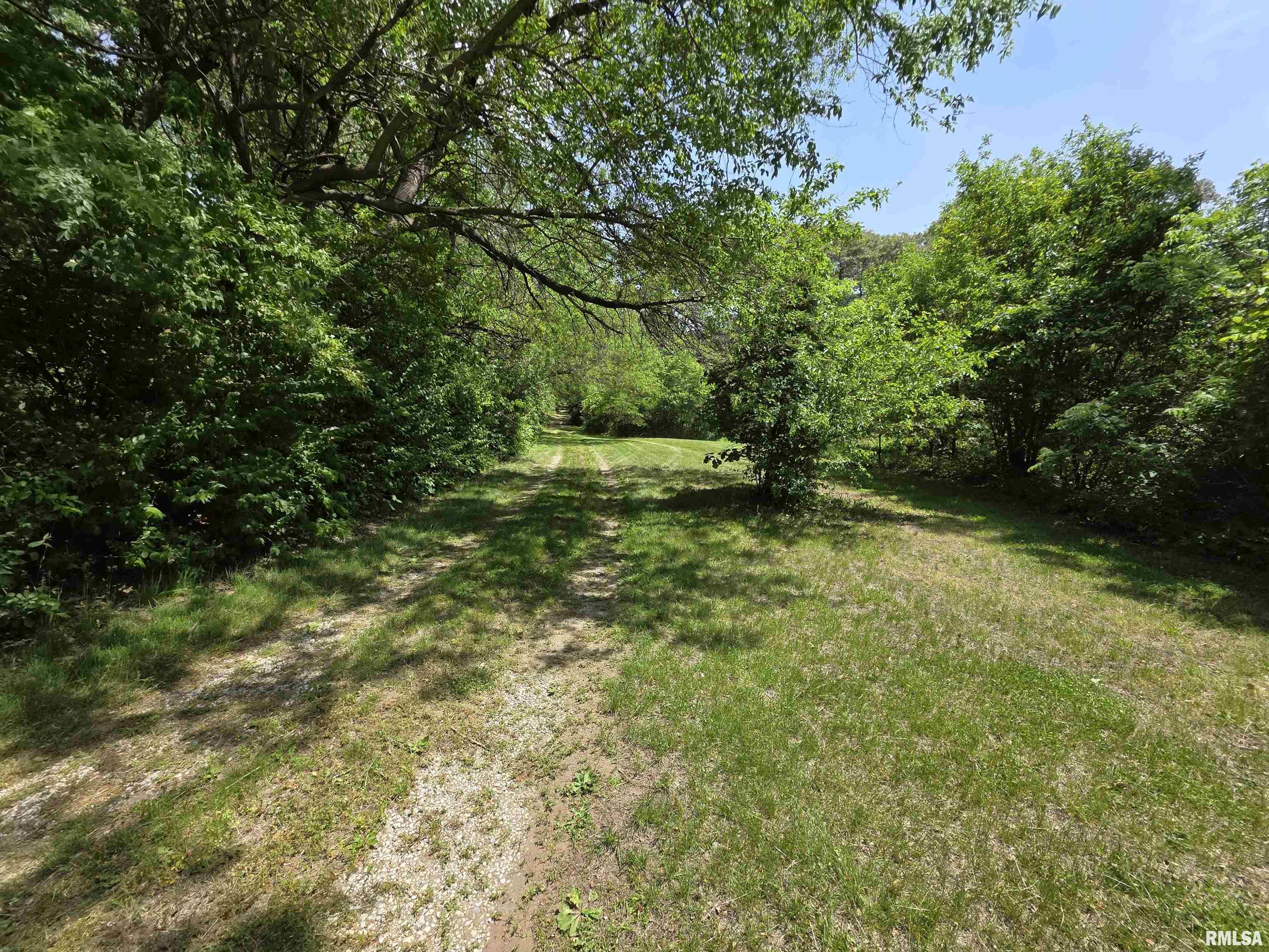16335 N County Road 1800 E Road, Havana, Illinois image 7