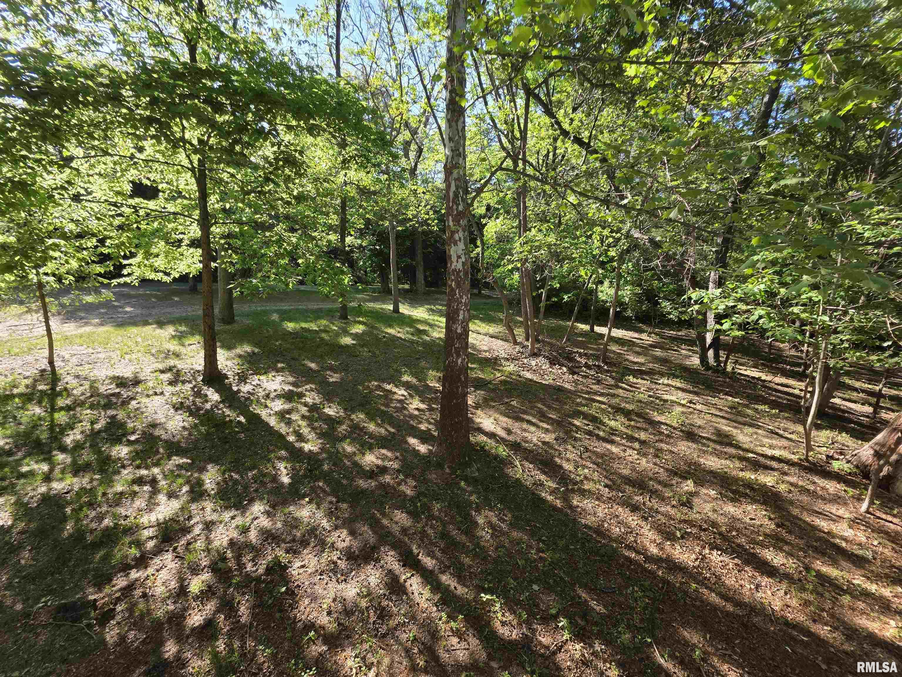 16335 N County Road 1800 E Road, Havana, Illinois image 38