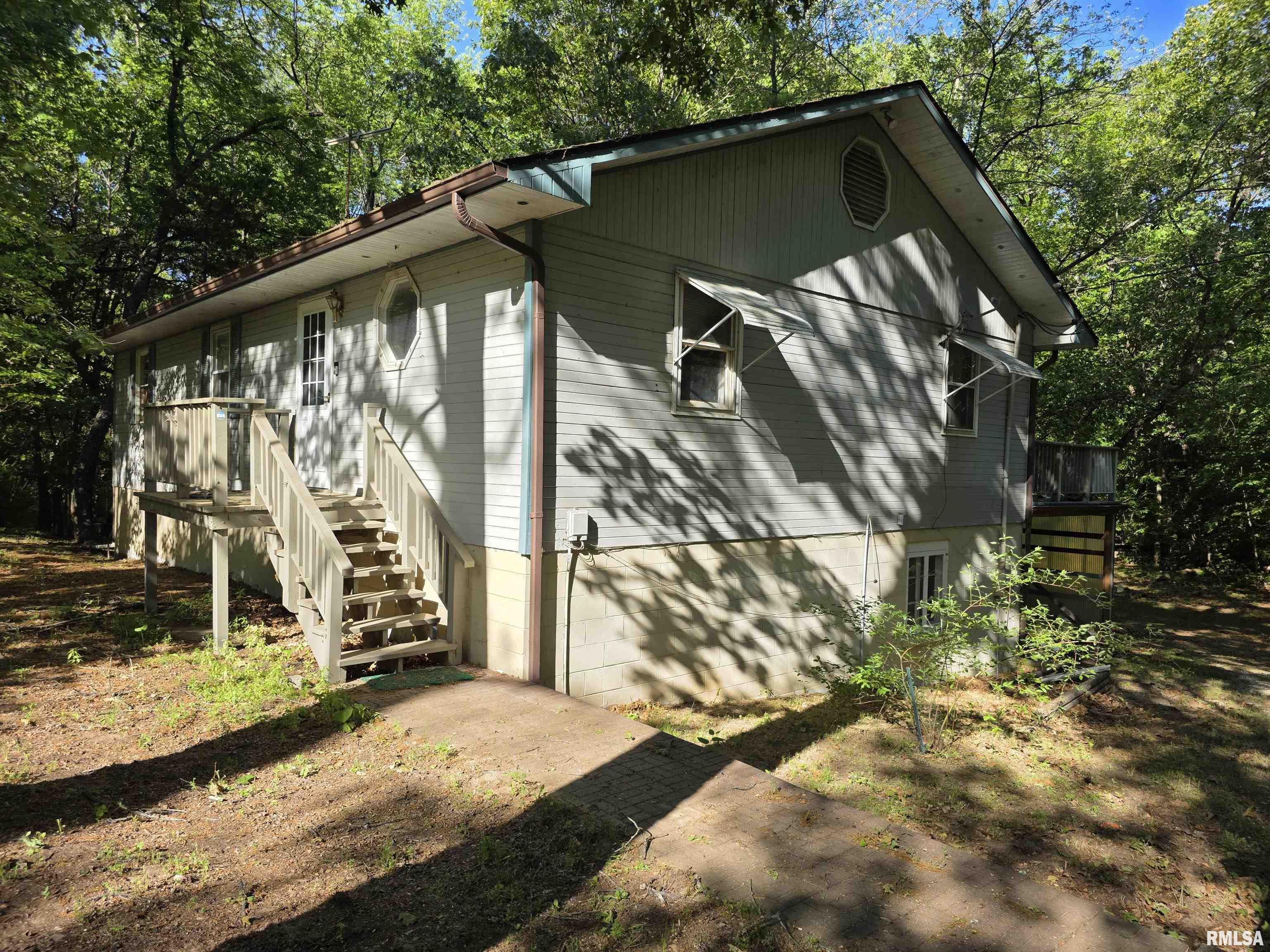 16335 N County Road 1800 E Road, Havana, Illinois image 3