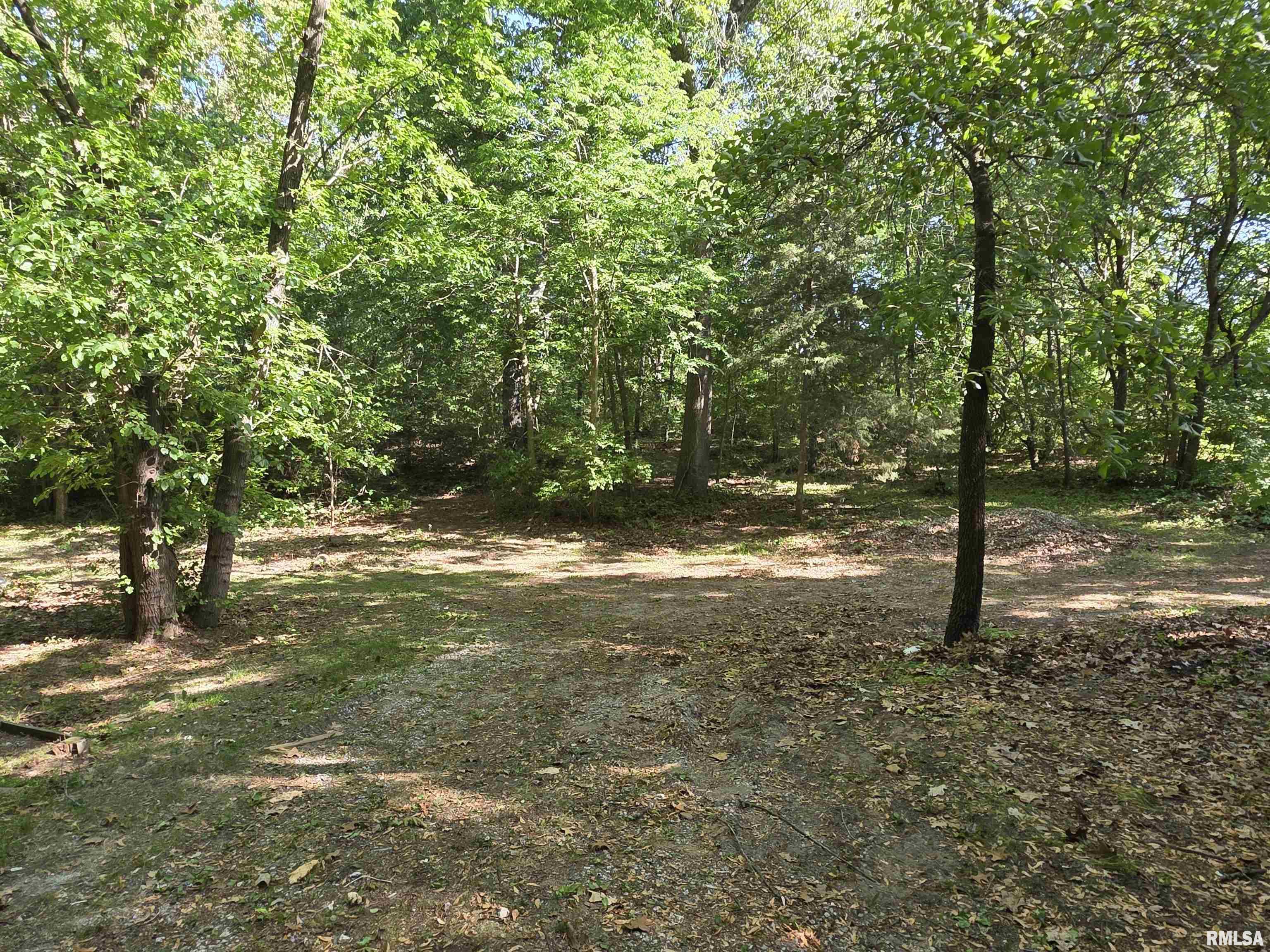 16335 N County Road 1800 E Road, Havana, Illinois image 17
