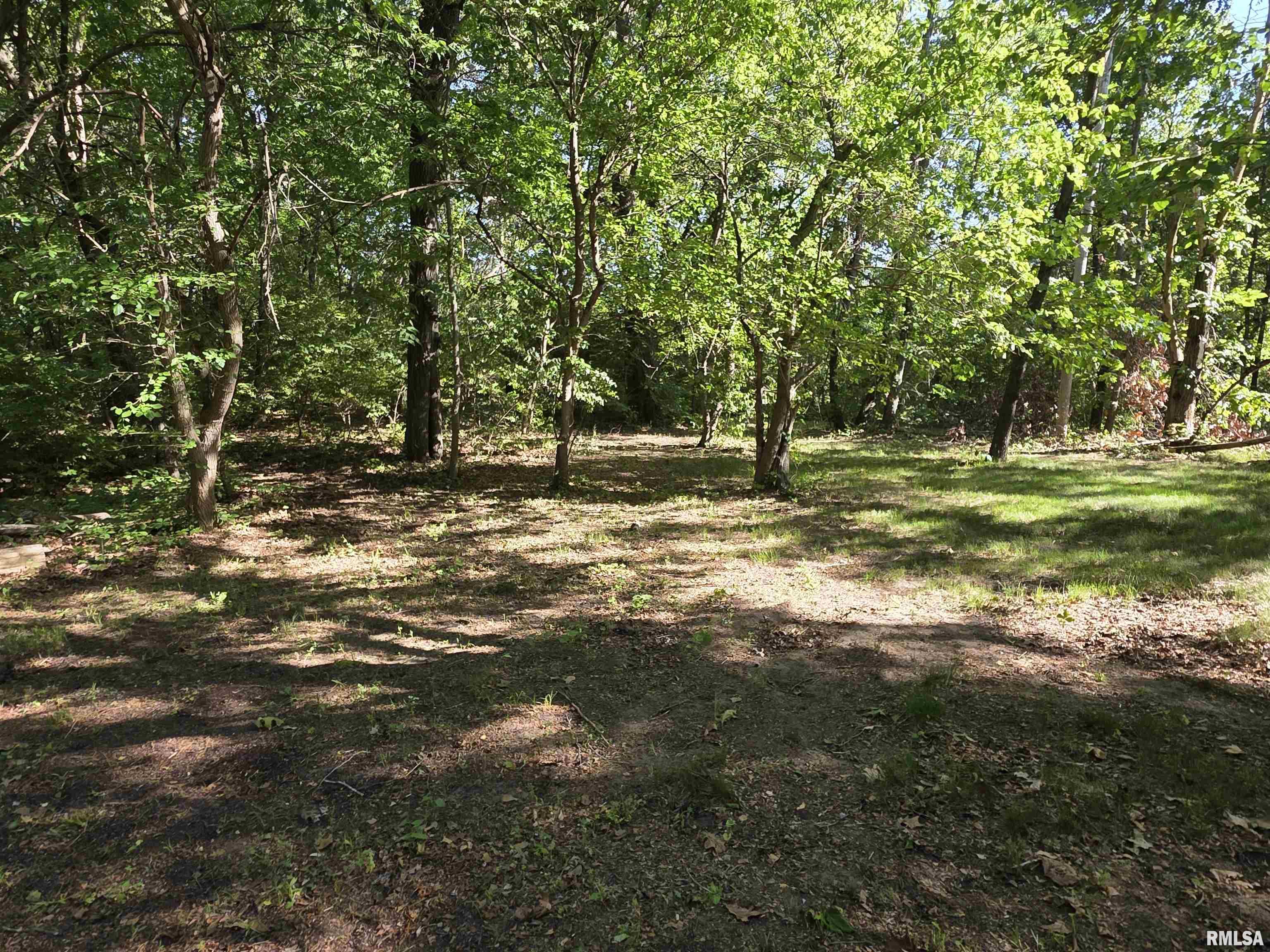16335 N County Road 1800 E Road, Havana, Illinois image 13