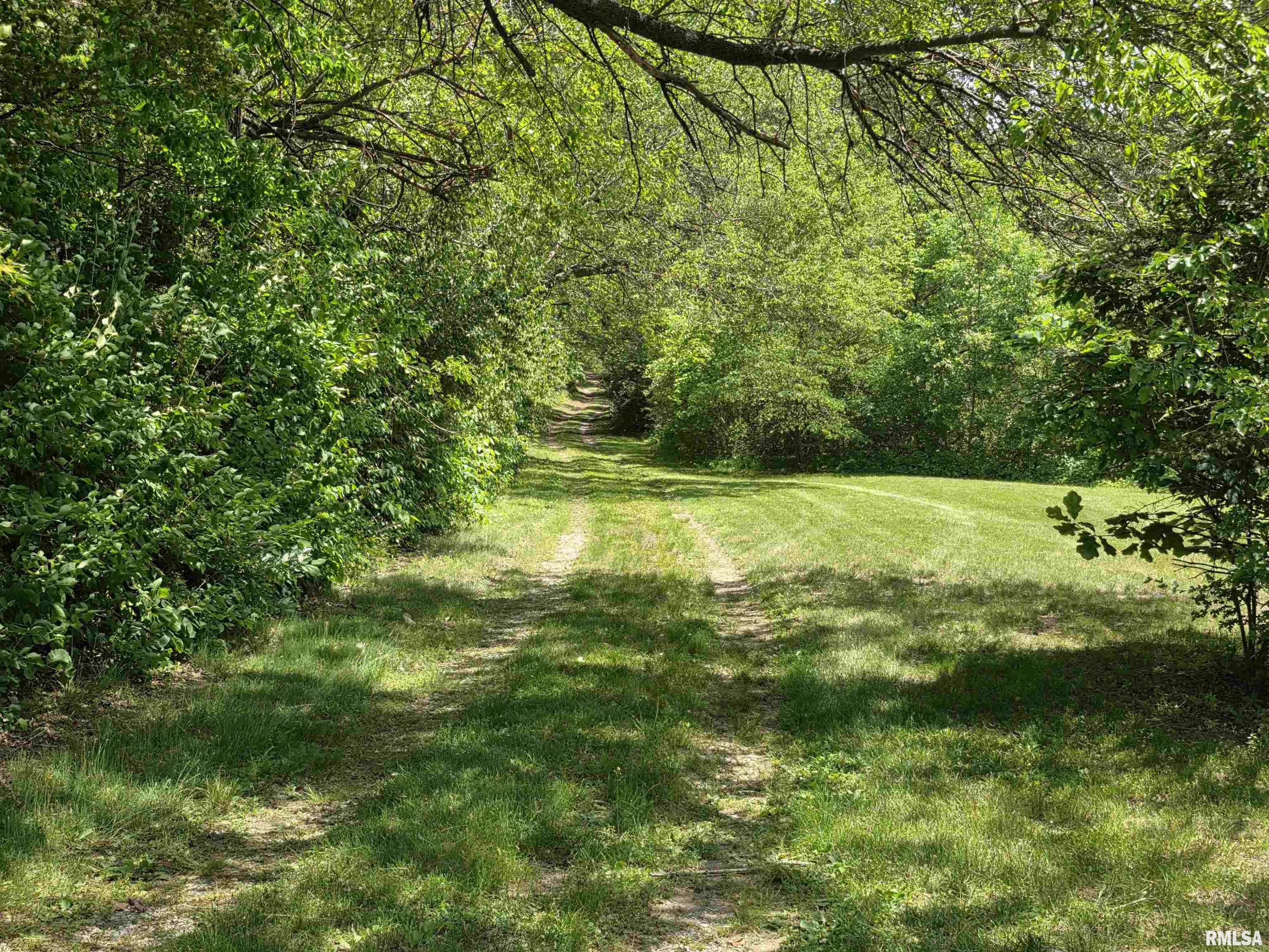 16335 N County Road 1800 E Road, Havana, Illinois image 8