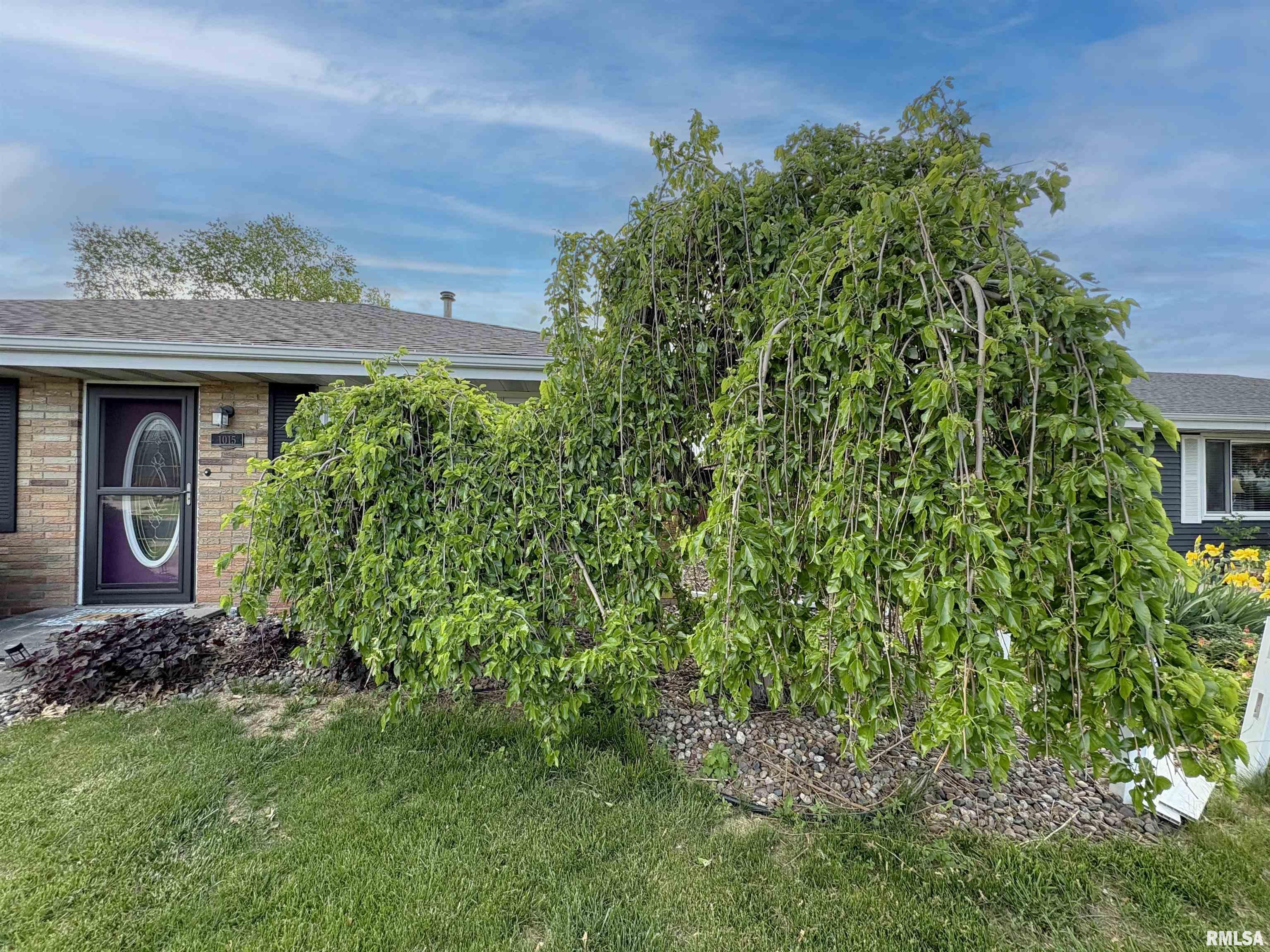 1015 S Mesa Drive, Peoria, Illinois image 47