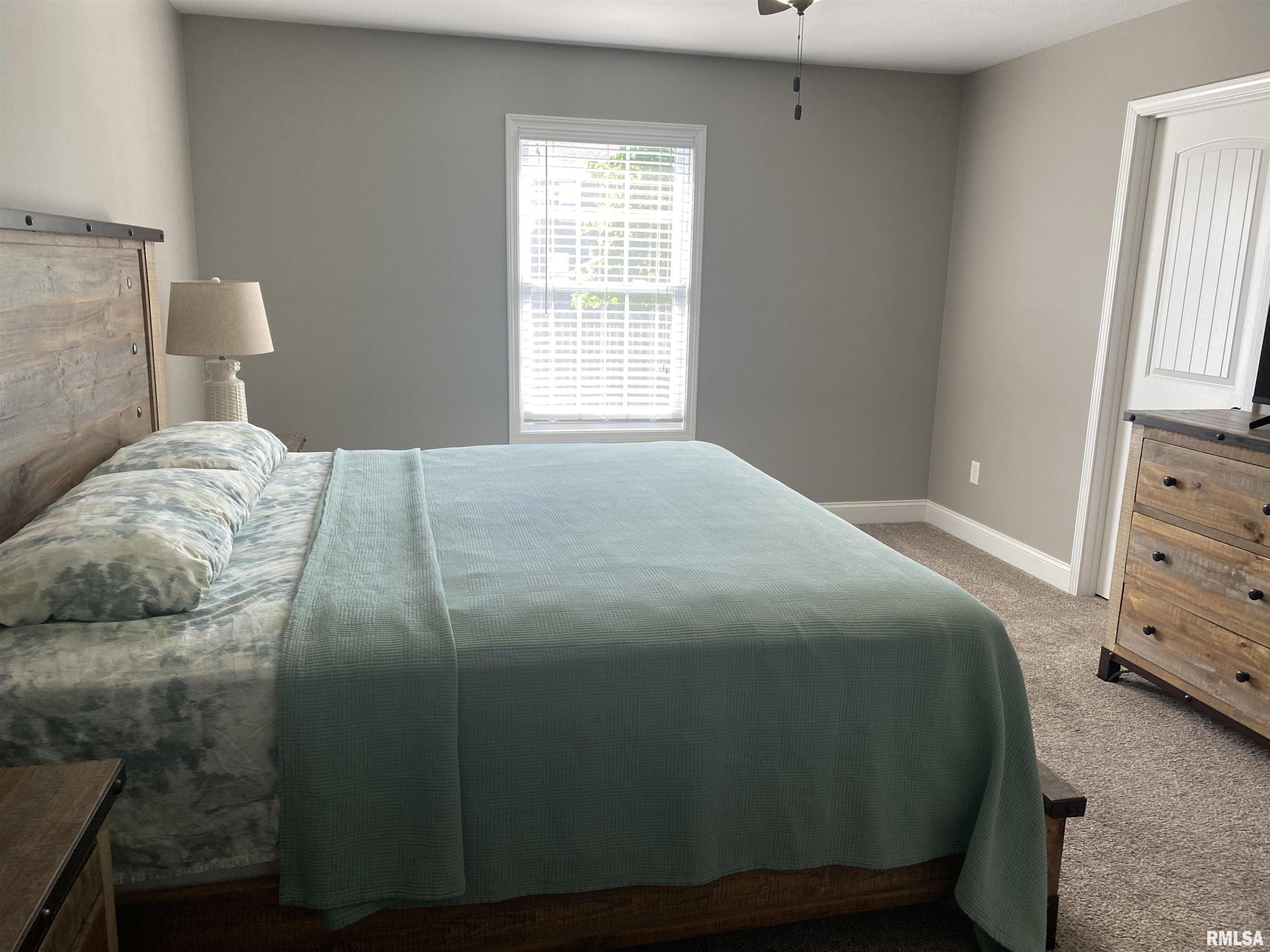 1620 Ptarmigan Drive, Chatham, Illinois image 18