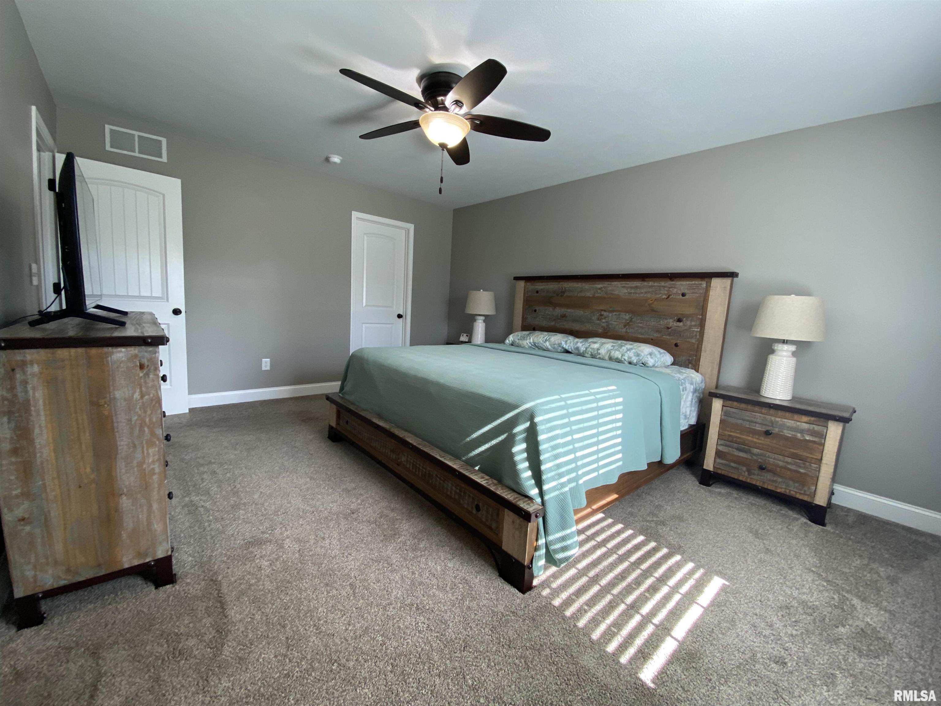 1620 Ptarmigan Drive, Chatham, Illinois image 19