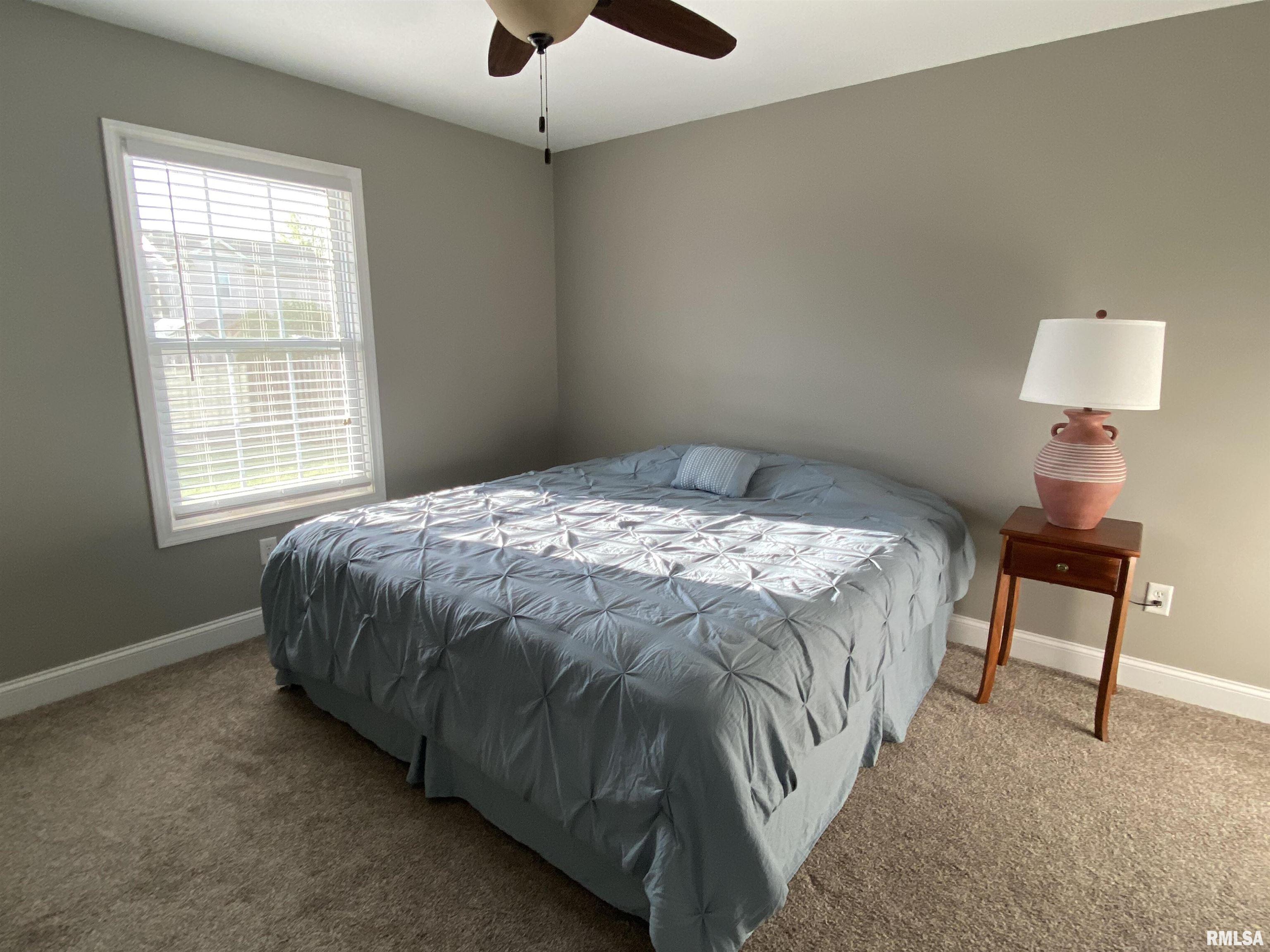 1620 Ptarmigan Drive, Chatham, Illinois image 32