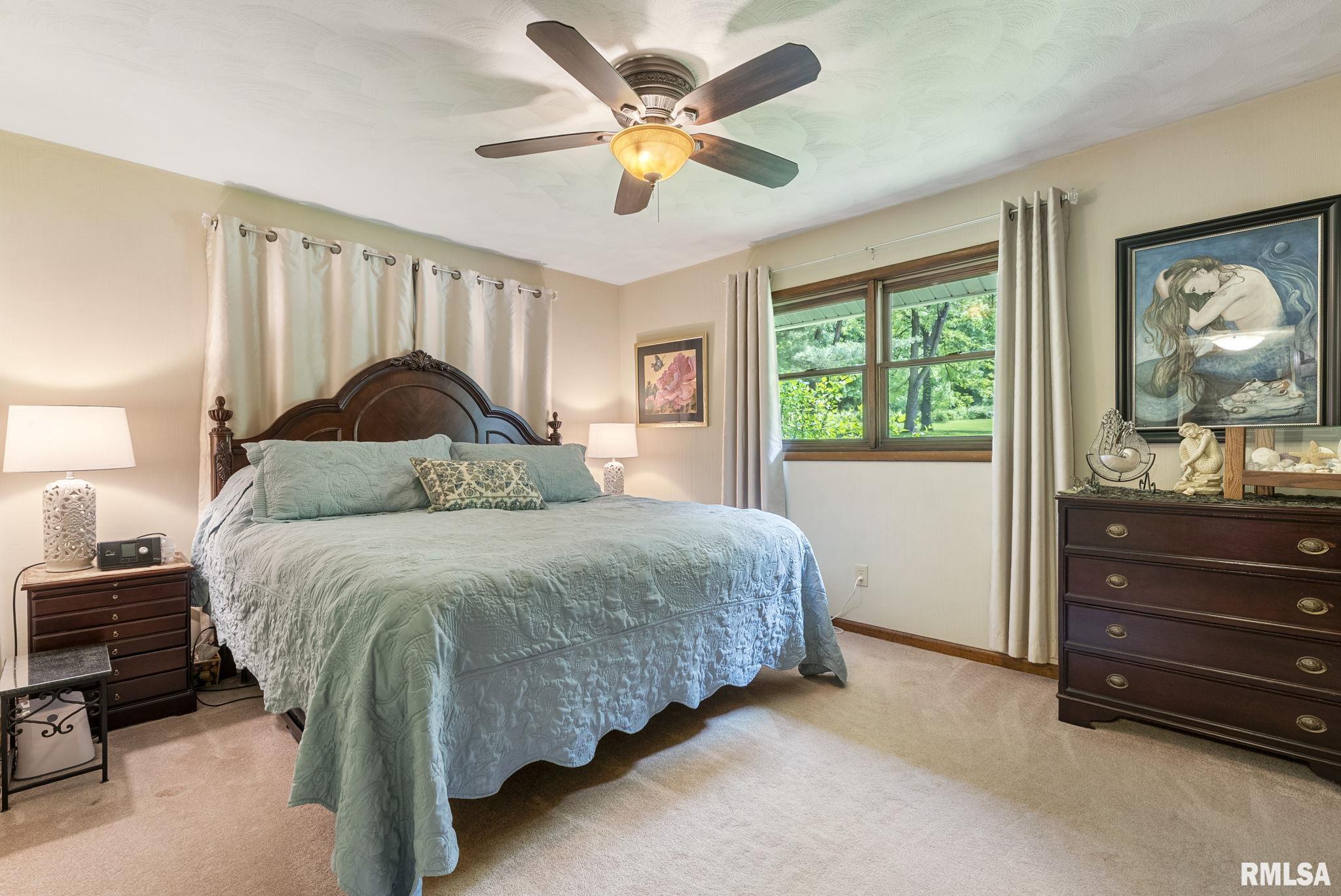 11 Shady Lane, Geneseo, Illinois image 18