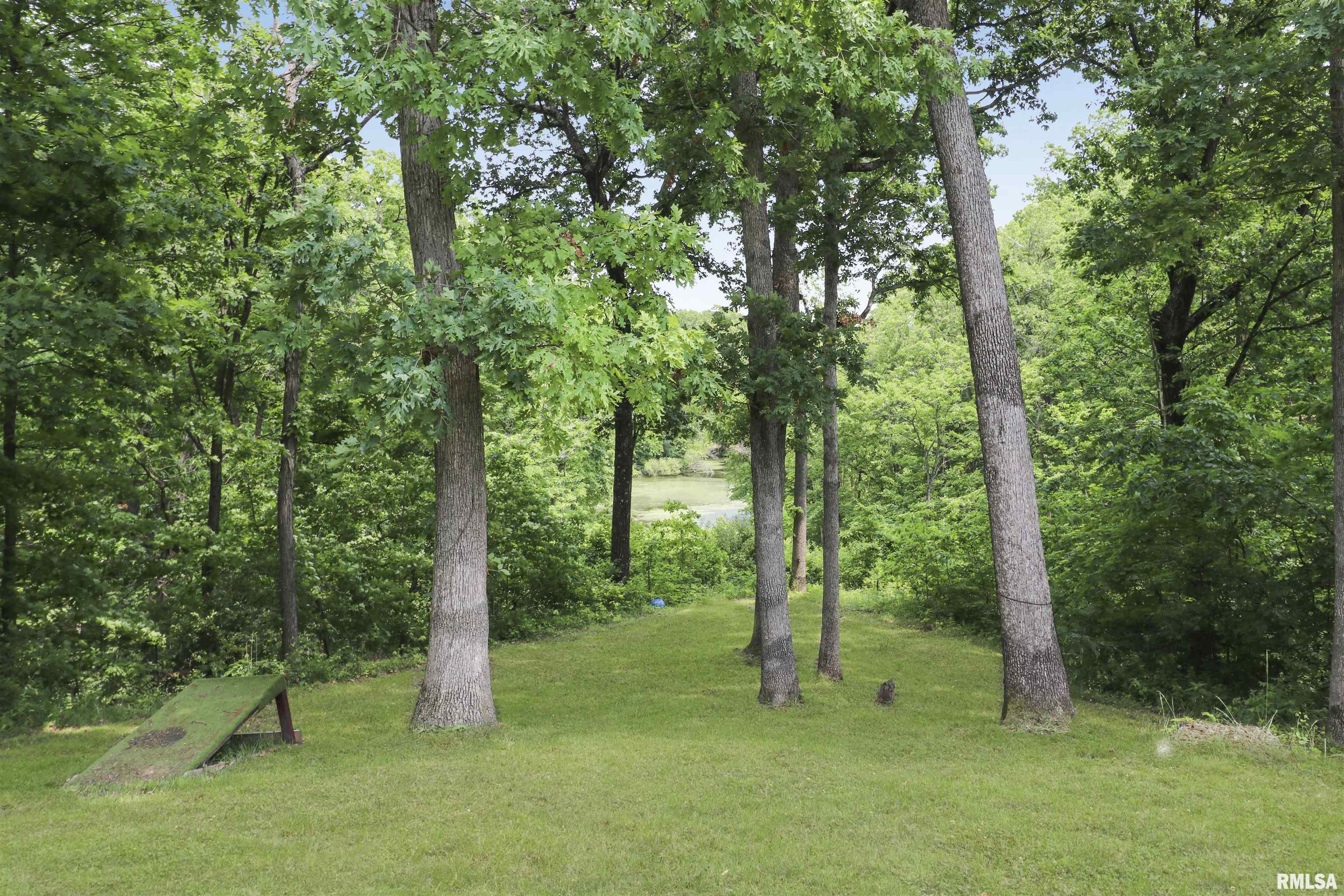18510 N Deer Creek Lane, Edelstein, Illinois image 29