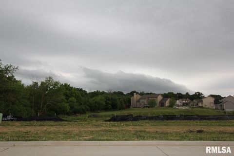 Vacant Land For Sale - 7124 W Ironwood Drive<br/> Edwards, IL 61528