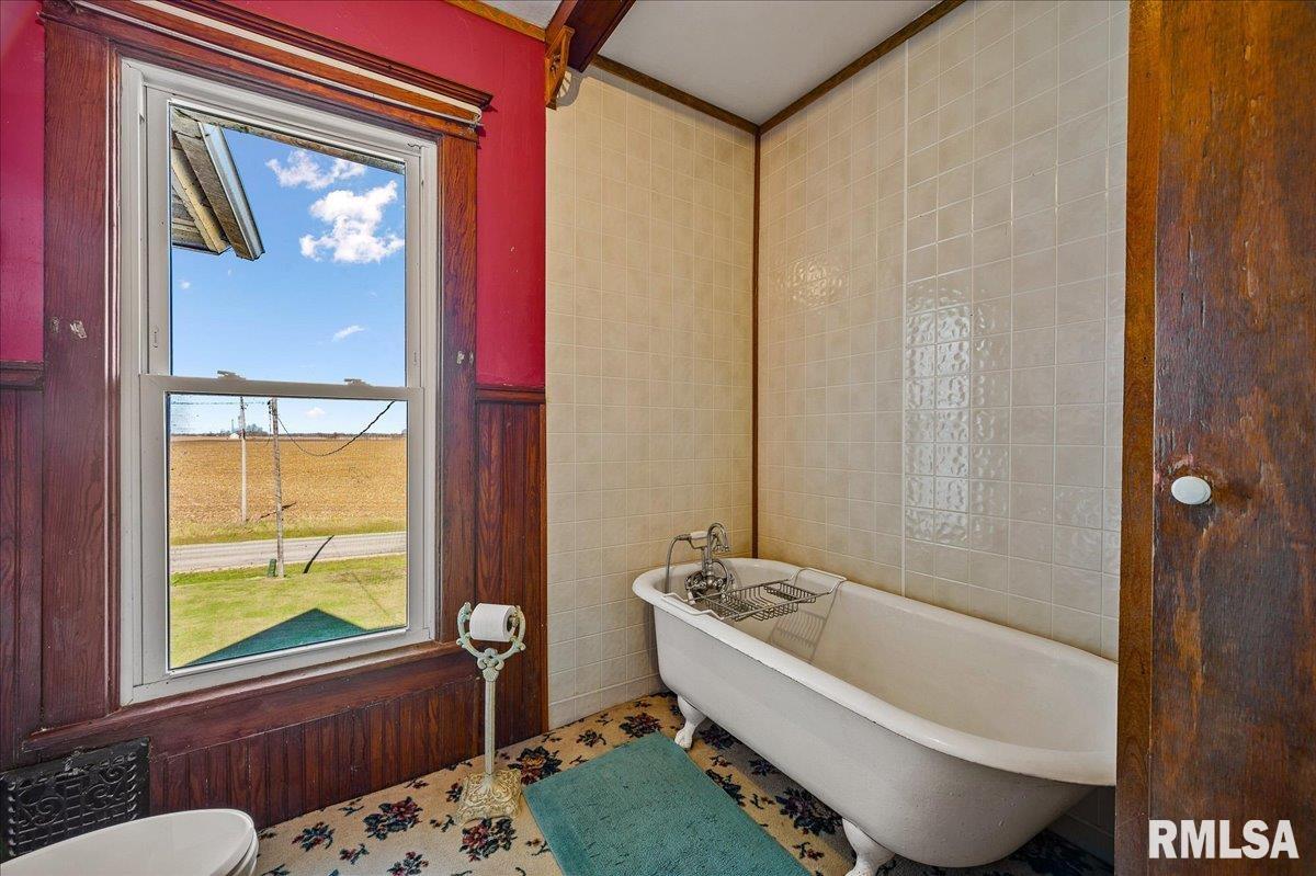 9542 Sharkey Highway, Wyoming, Illinois image 19