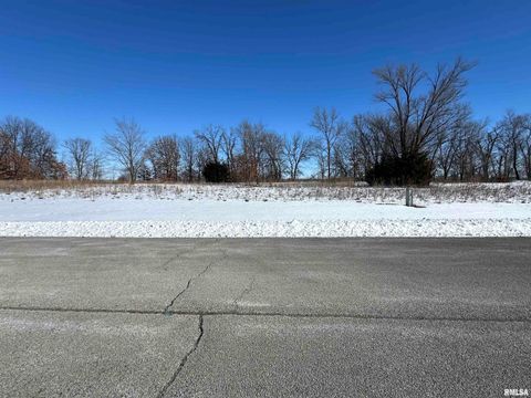 Vacant Land For Sale - Eagle Drive<br/> Meredosia, IL 62665