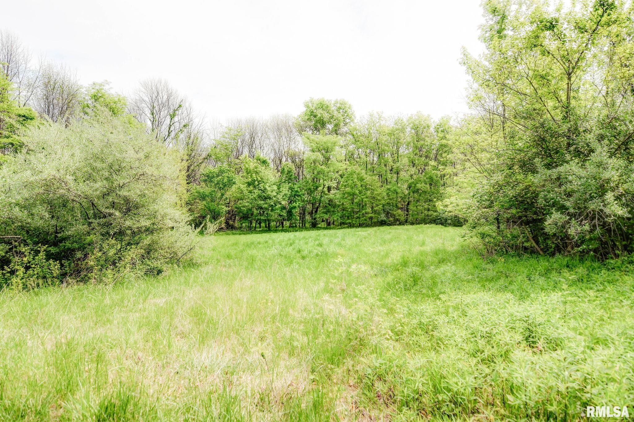1756A N 2525 E Road, Moweaqua, Illinois image 10