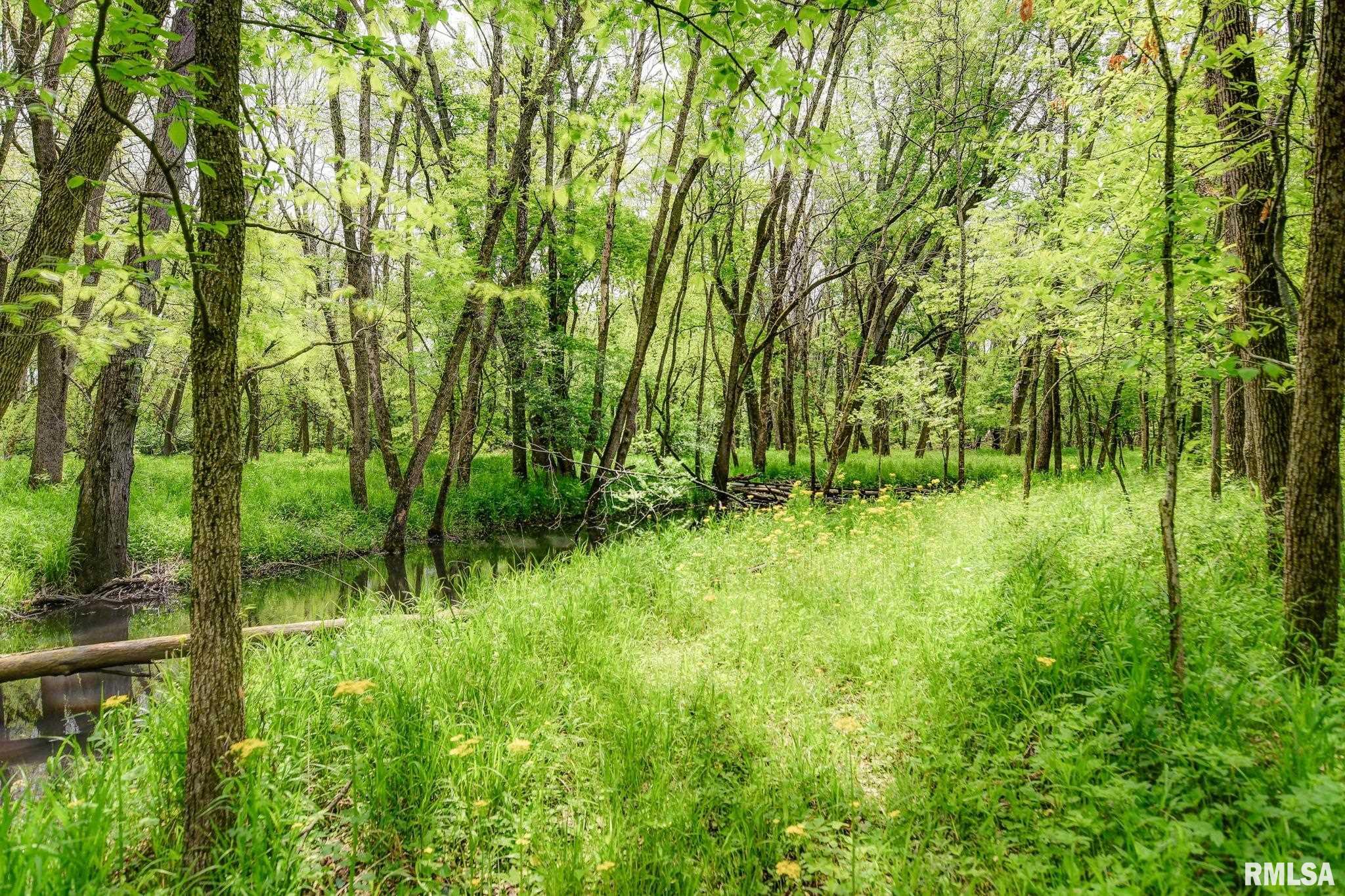 1756A N 2525 E Road, Moweaqua, Illinois image 12