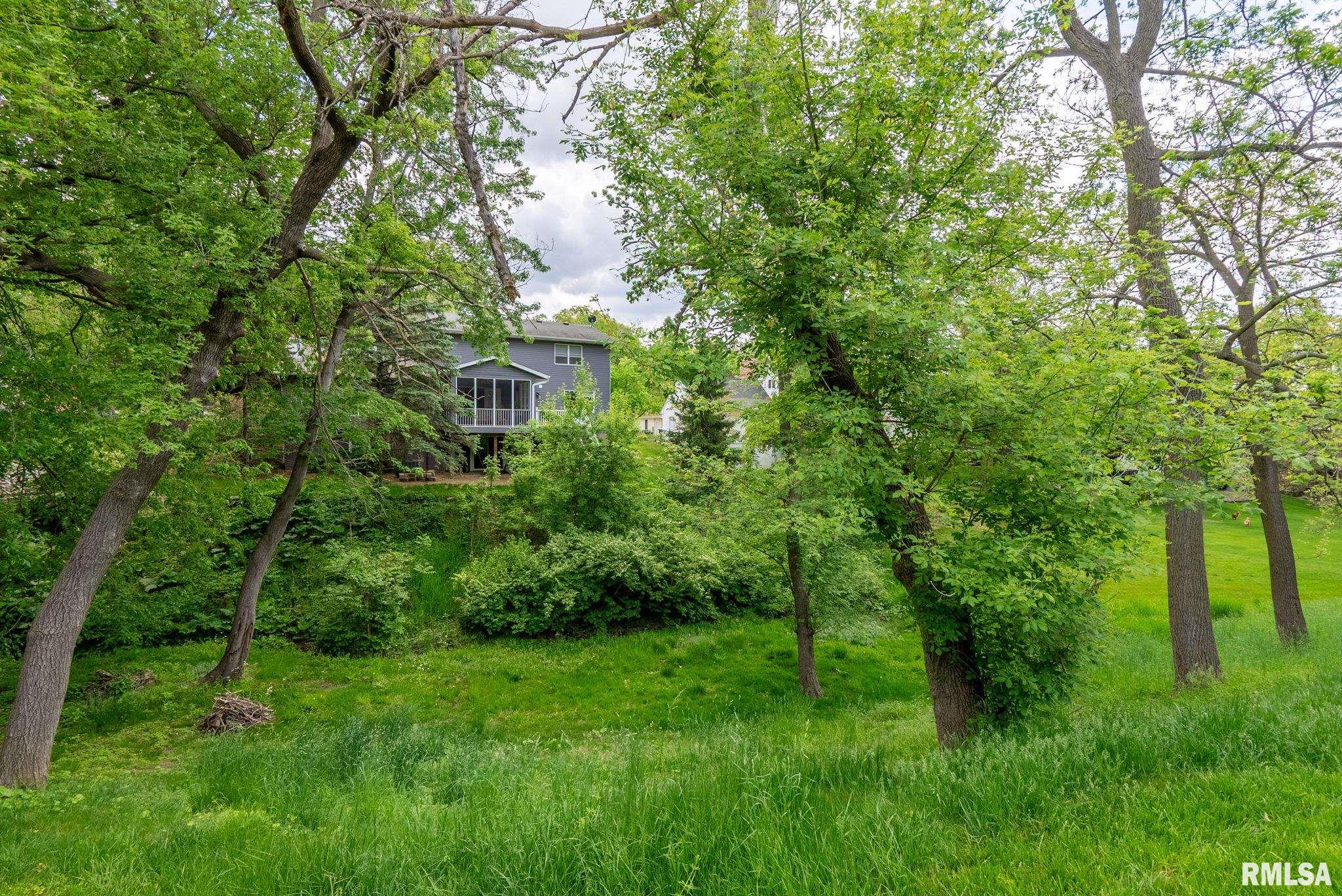 2906 27th Avenue A, Moline, Illinois image 46