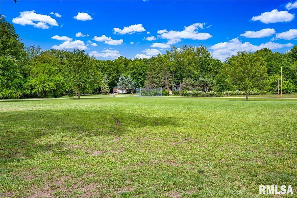 983 Oak Crest Drive, Varna, Illinois image 45