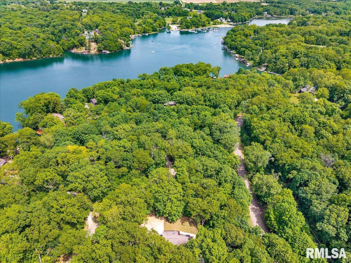 983 Oak Crest Drive, Varna, Illinois image 42
