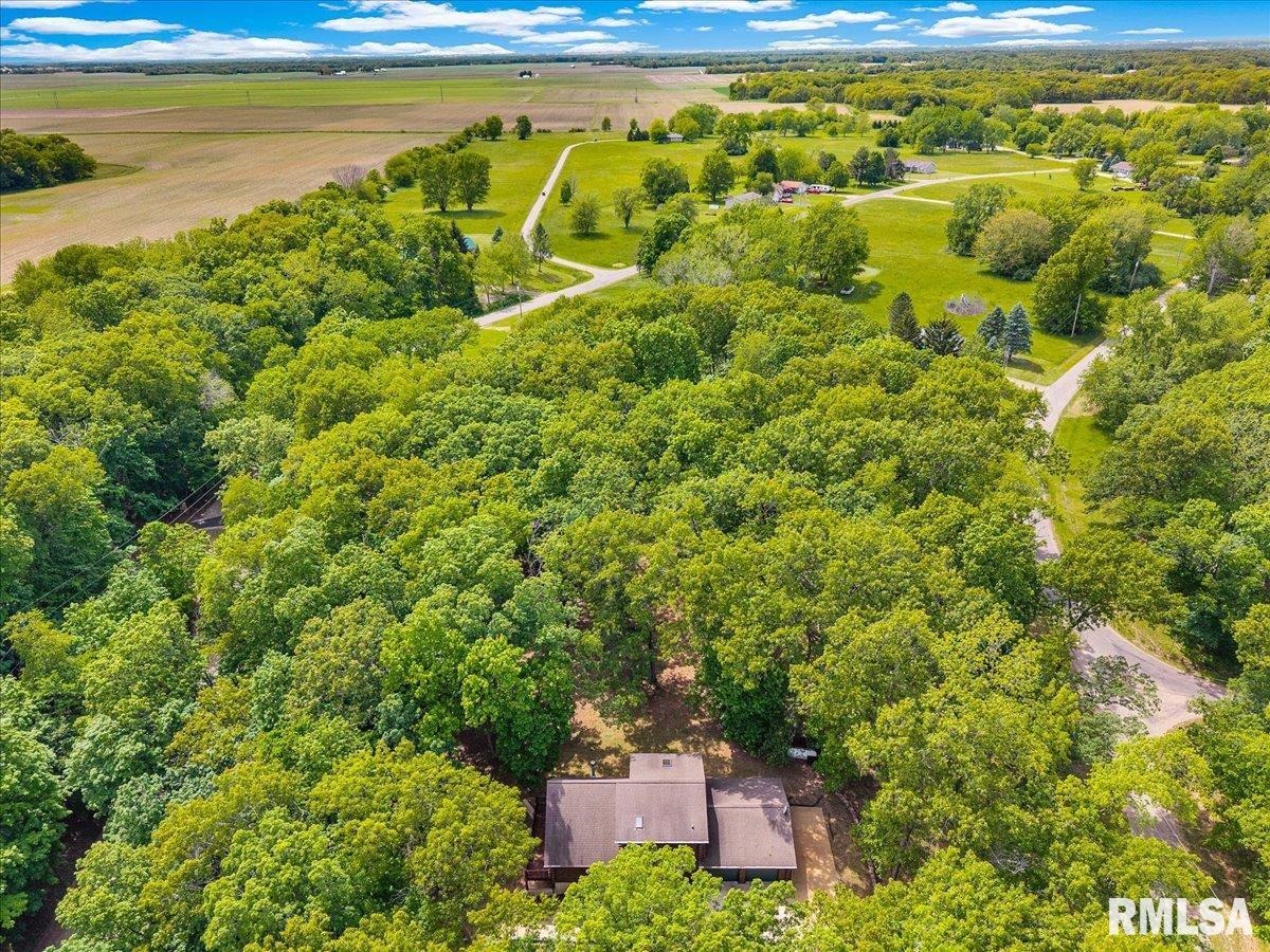 983 Oak Crest Drive, Varna, Illinois image 38